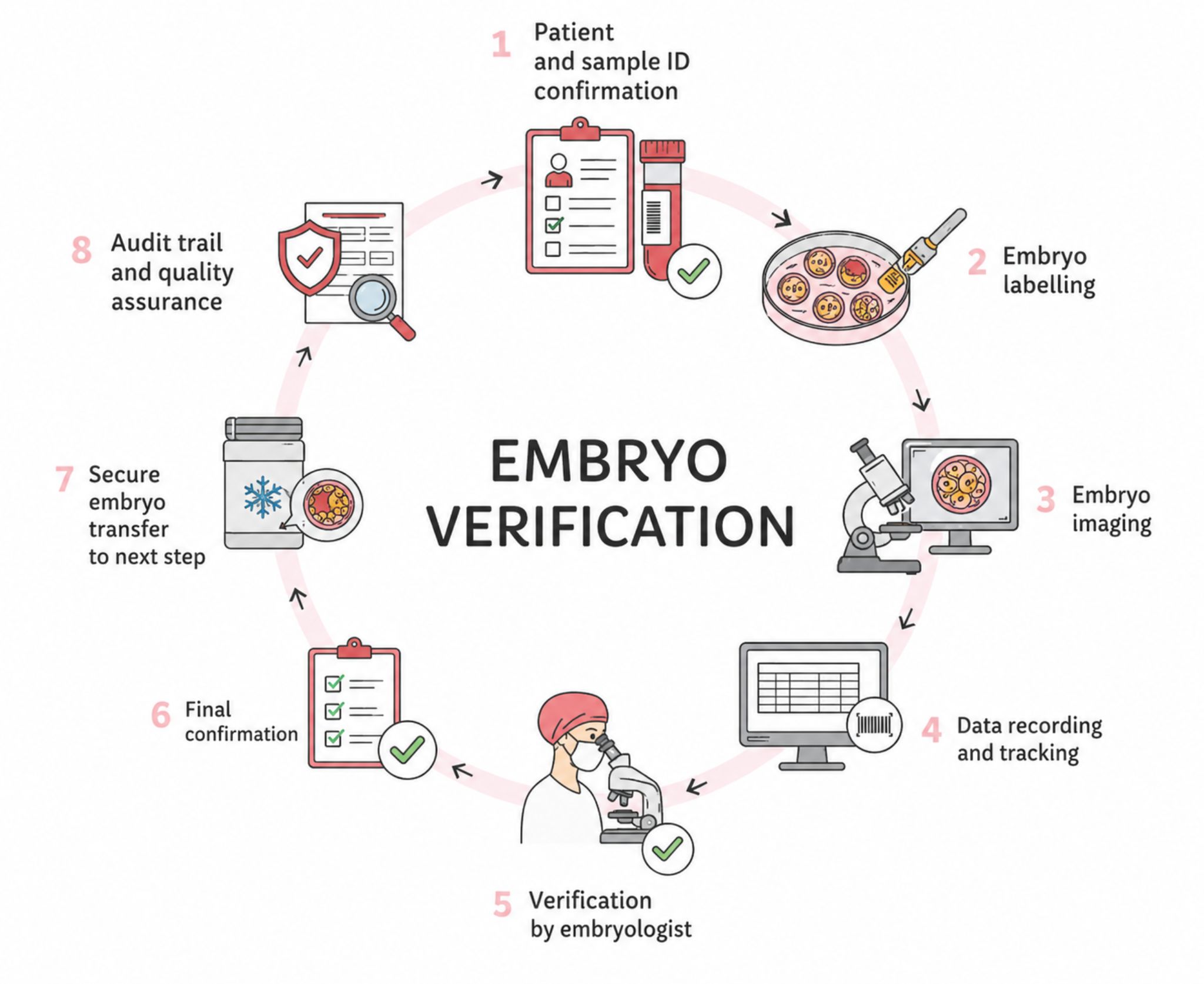 Embryo Vitrification Embryo Vitrification