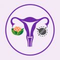 Premature Ovarian Failure